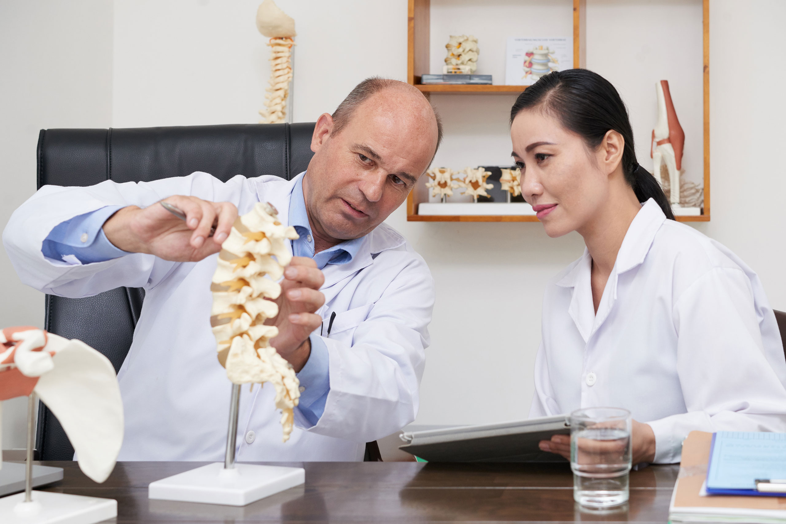 spine adjustment showcase